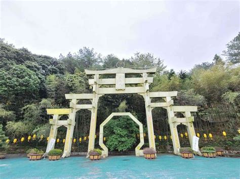 禪機山仙佛寺|南投國姓｜禪機山仙佛寺：秒飛京都，濃濃日式禪意！五百羅漢超 